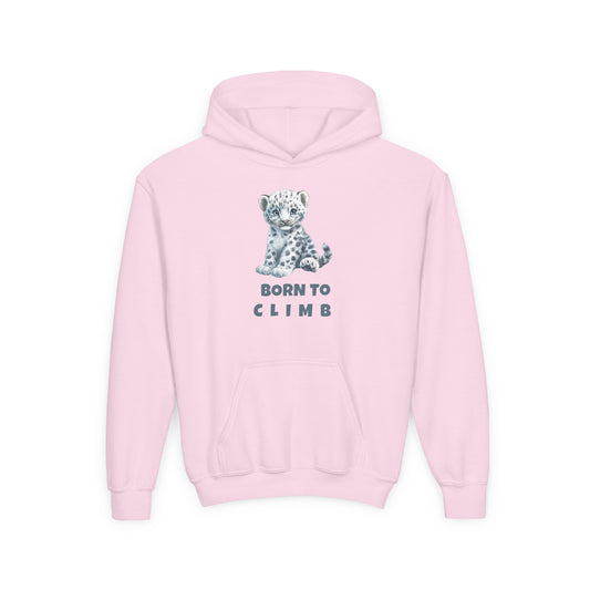Born To Climb Youth Hoodie